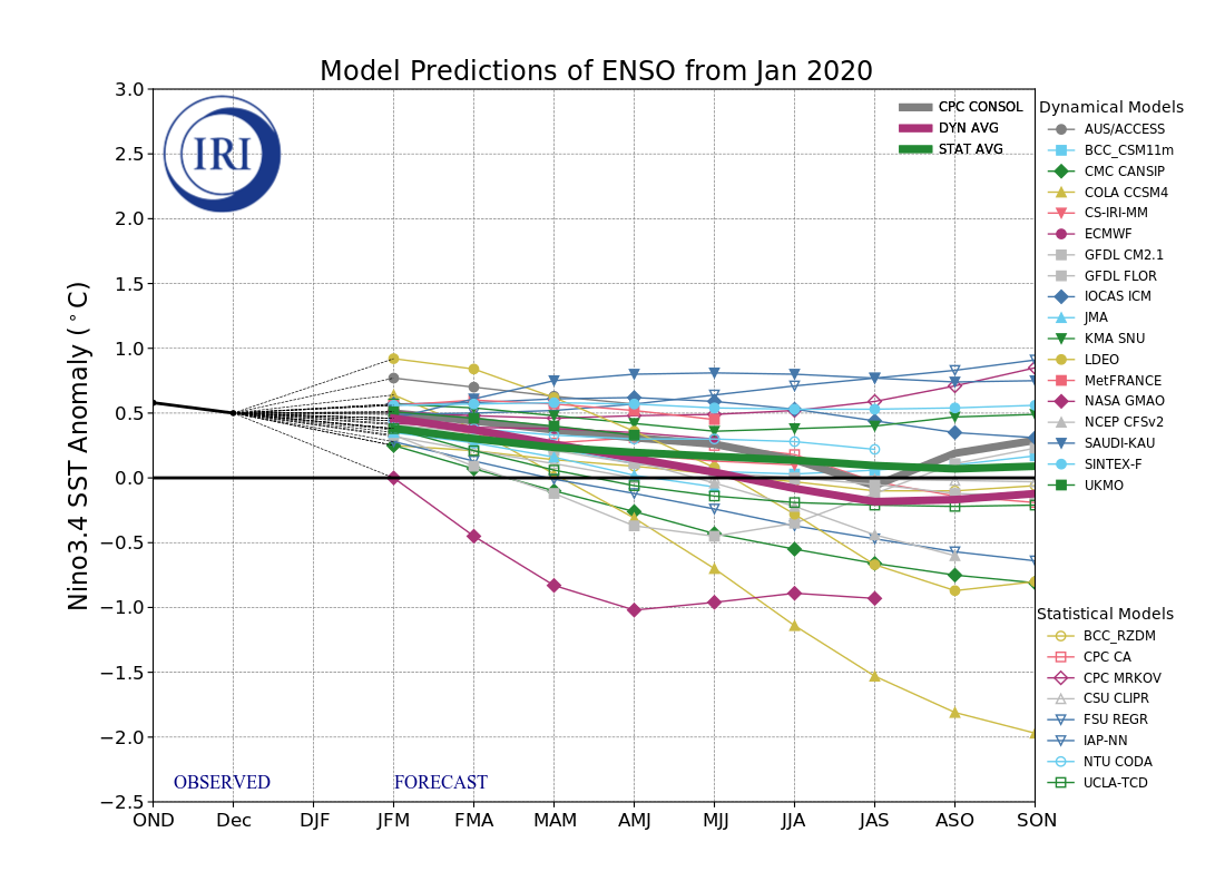 IRI ENSO Model Forecast Plumes Image