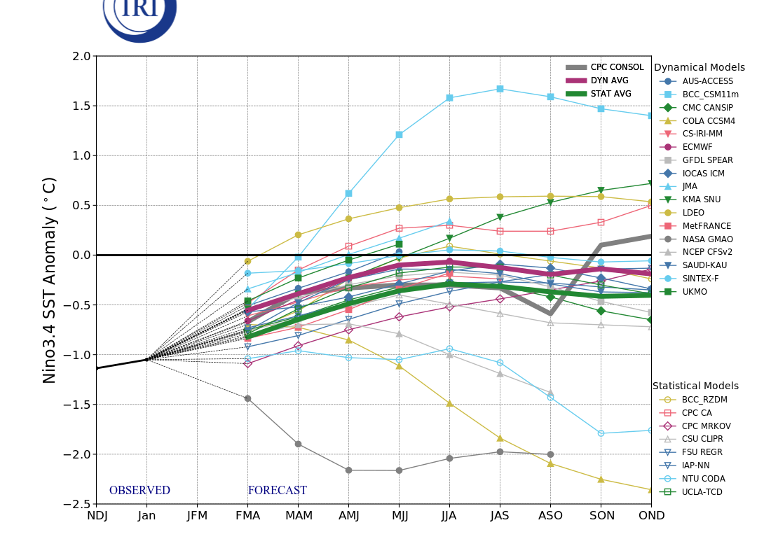 IRI ENSO Model Forecast Plumes Image