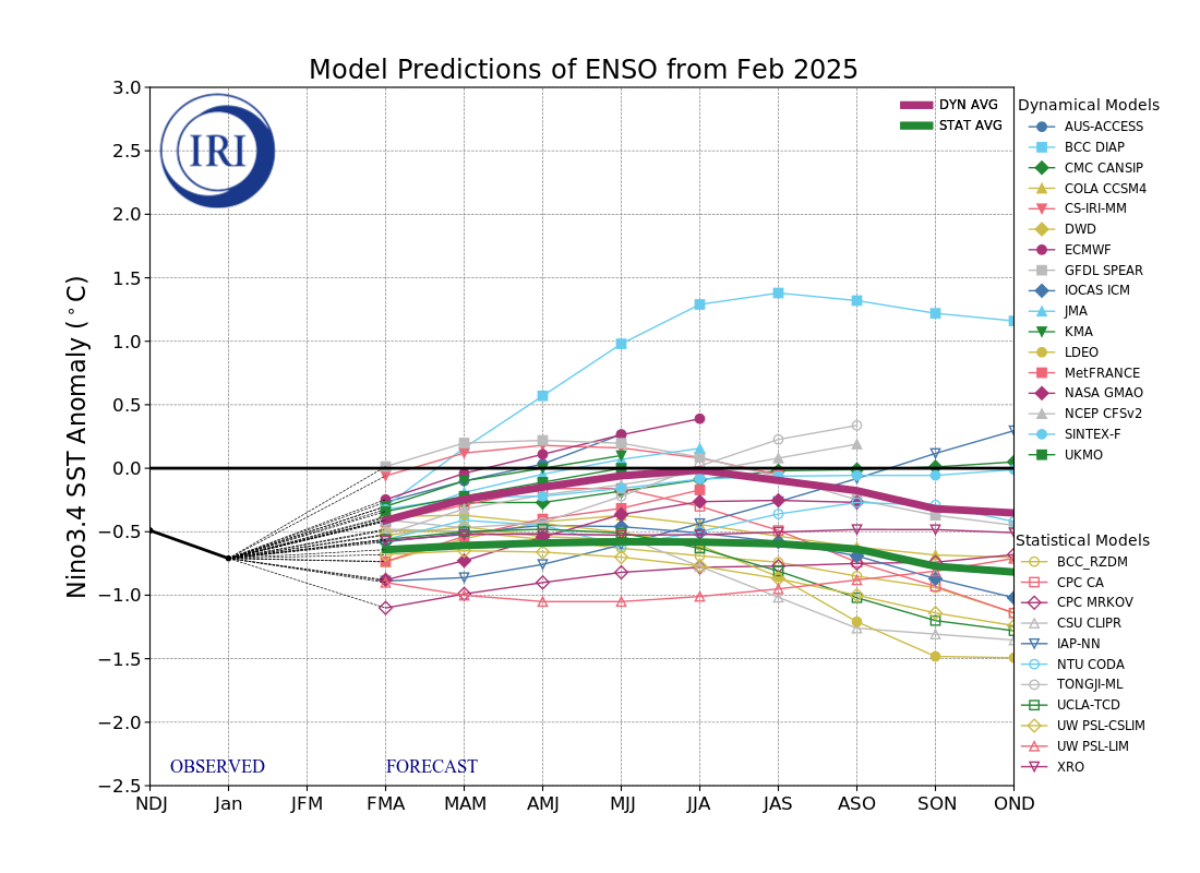 IRI ENSO Model Forecast Plumes Image