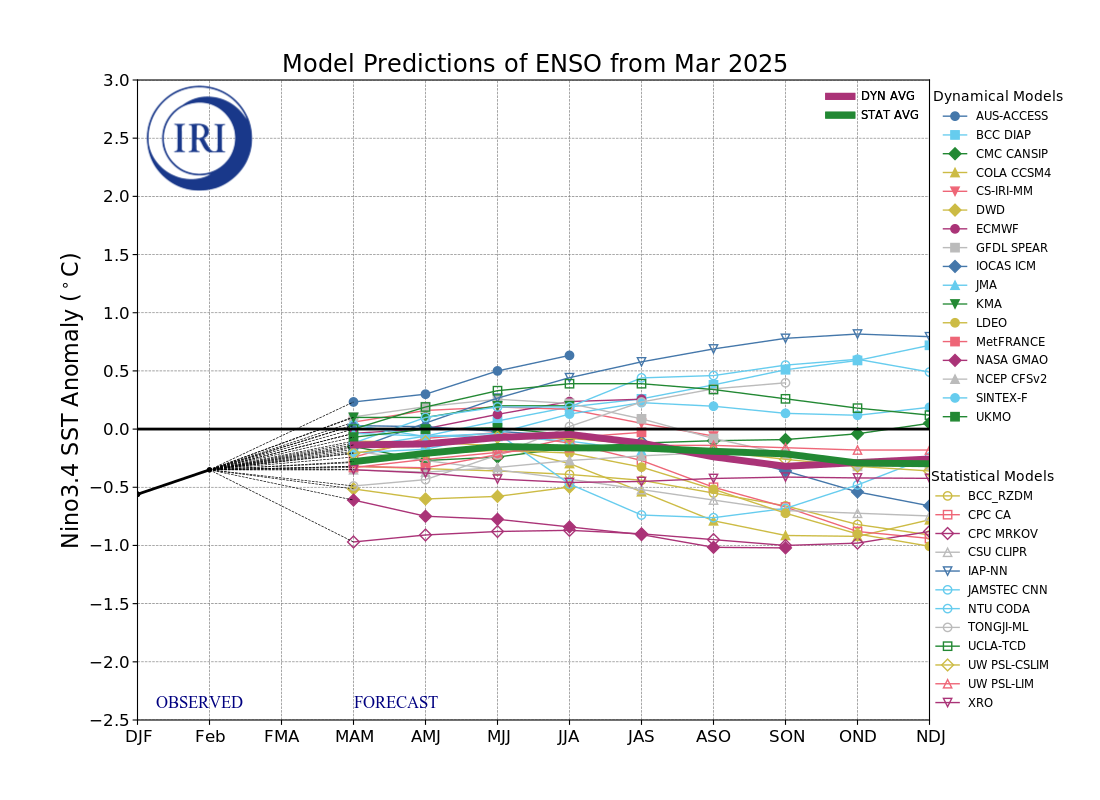 IRI ENSO Model Forecast Plumes Image