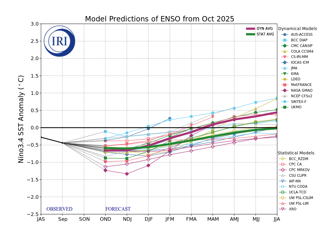 IRI ENSO Model Forecast Plumes Image